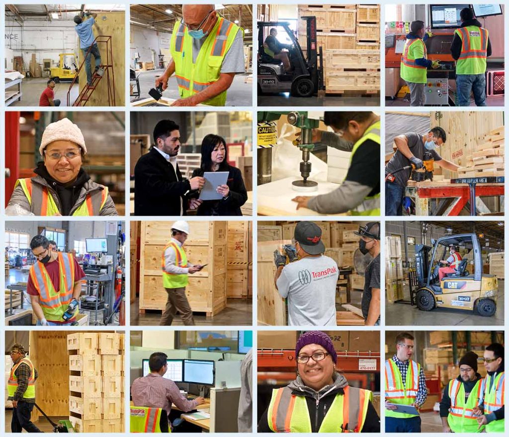grid-of-transpak-employees-assembling-custom-crates-and-supporting-our-customers
