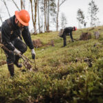 One Tree Planted